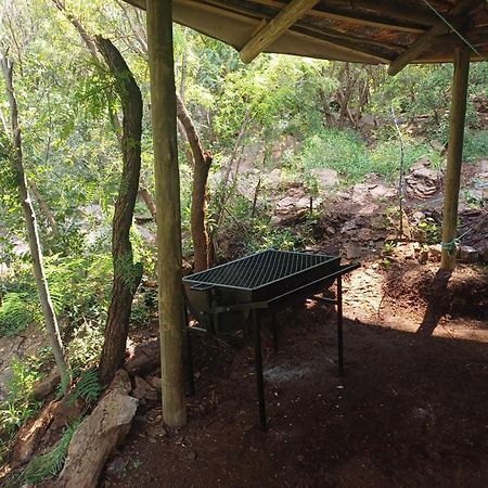 Adorable Unique Guest House - African Bush Feel Kalkheuvel Eksteriør billede