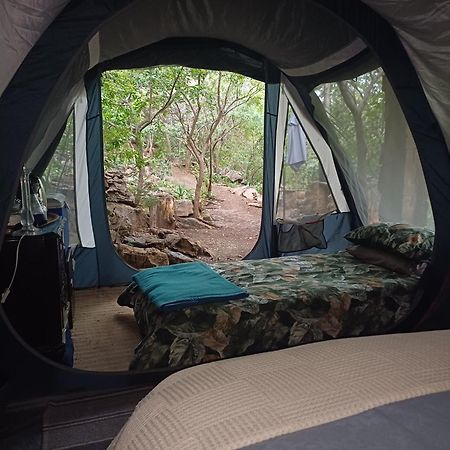 Adorable Unique Guest House - African Bush Feel Kalkheuvel Eksteriør billede