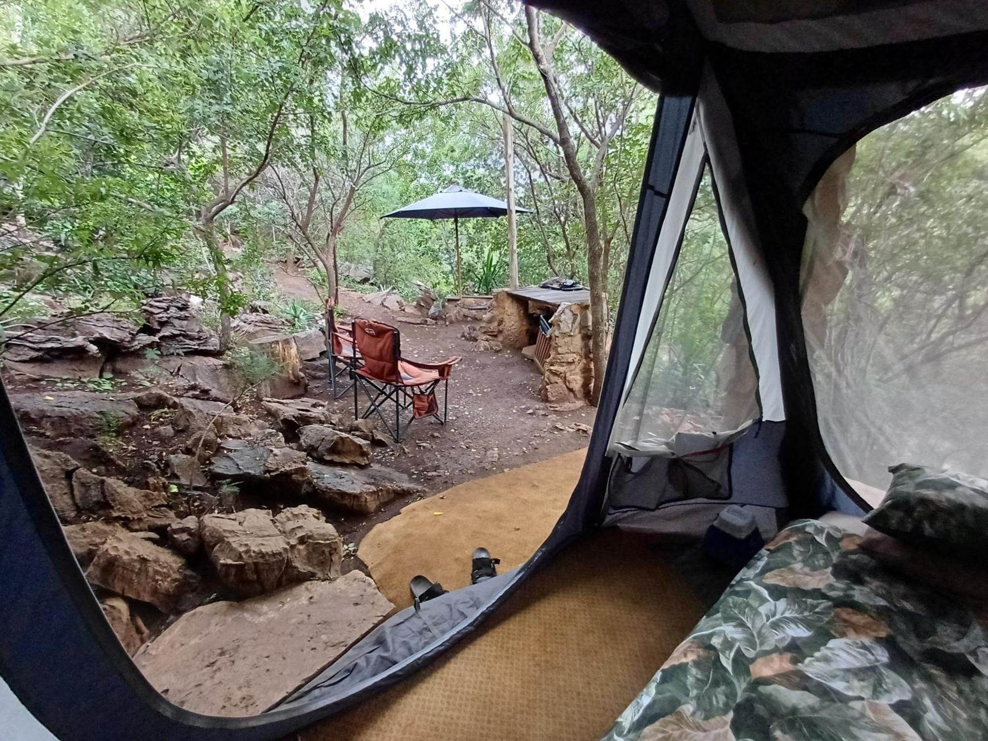 Adorable Unique Guest House - African Bush Feel Kalkheuvel Eksteriør billede