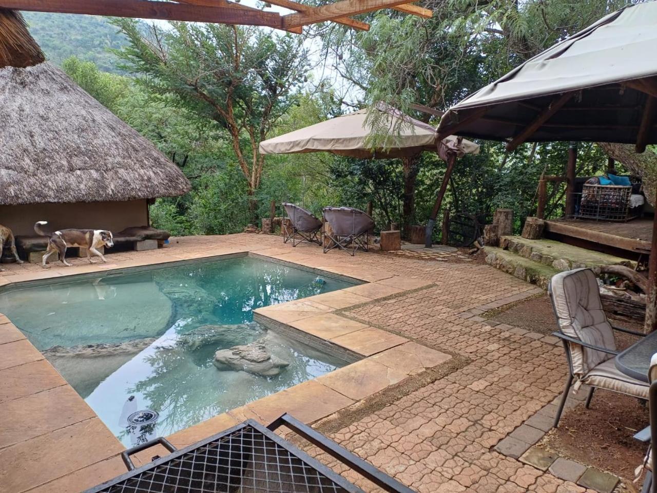 Adorable Unique Guest House - African Bush Feel Kalkheuvel Eksteriør billede