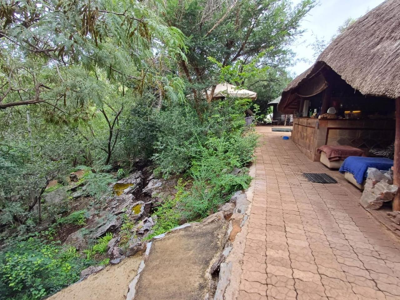 Adorable Unique Guest House - African Bush Feel Kalkheuvel Eksteriør billede